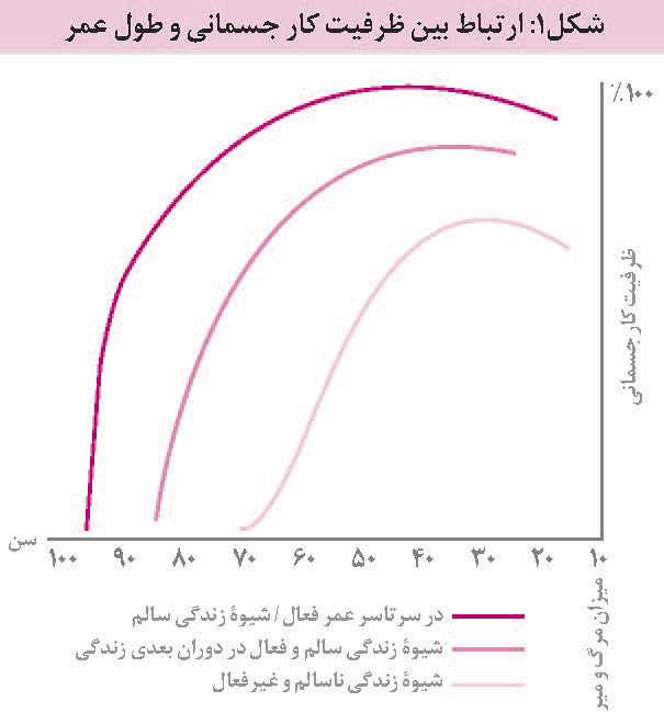 سن شروع ورزش برای فواید سلامتی و عملکردی