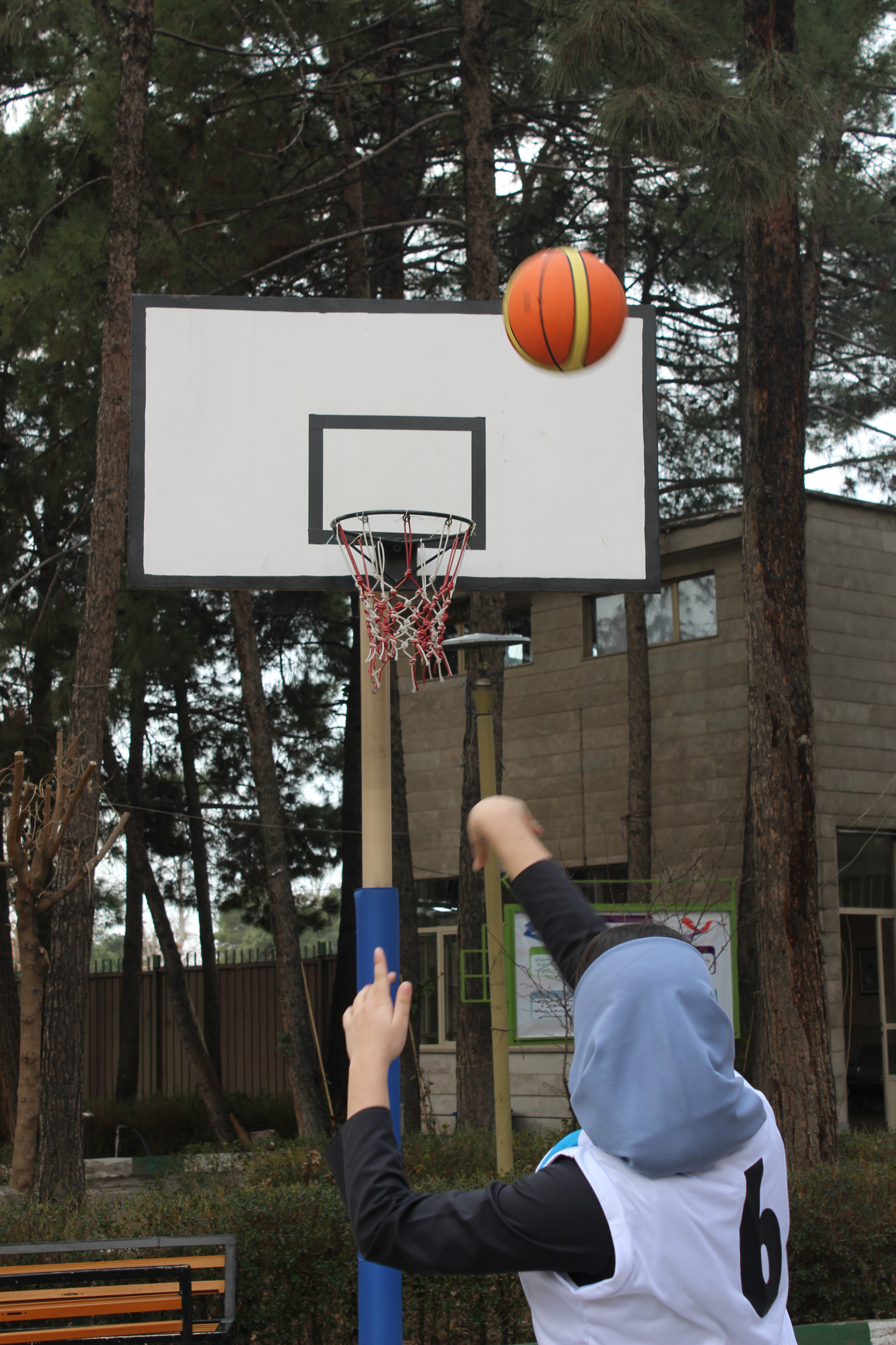 سن آموزش تخصصی مهارت های ورزشی