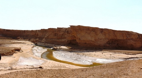 کلاه از سر برداشتیم به احترام کویر