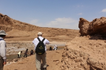 کلاه از سر برداشتیم به احترام کویر