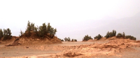 کلاه از سر برداشتیم به احترام کویر