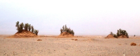 کلاه از سر برداشتیم به احترام کویر