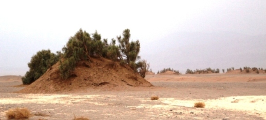 کلاه از سر برداشتیم به احترام کویر