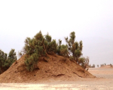 کلاه از سر برداشتیم به احترام کویر