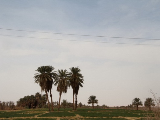 کلاه از سر برداشتیم به احترام کویر