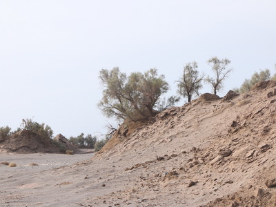 کلاه از سر برداشتیم به احترام کویر