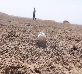 کلاه از سر برداشتیم به احترام کویر