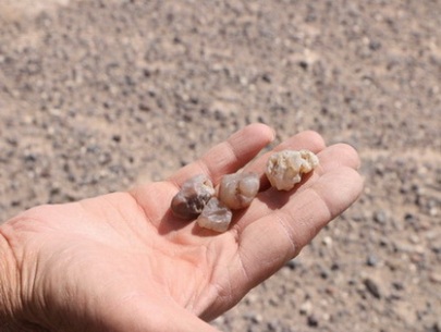 کلاه از سر برداشتیم به احترام کویر