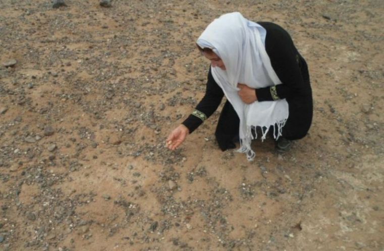 کلاه از سر برداشتیم به احترام کویر