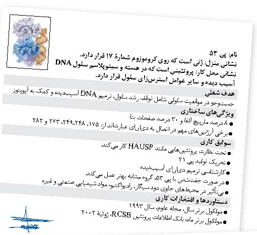 رزومه پروتئین