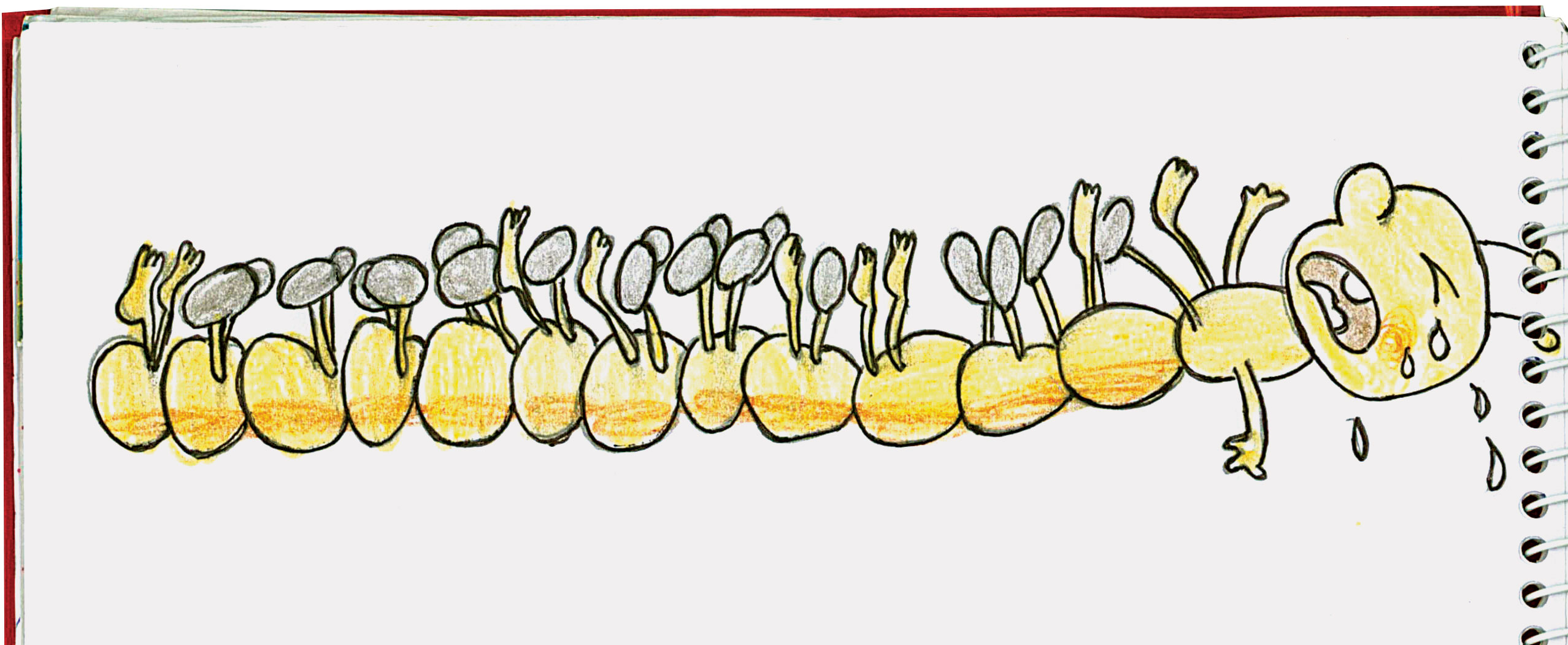 باورشان کنیم می‌ نویسند