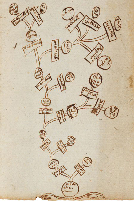 دیاگرام عنکبوتی