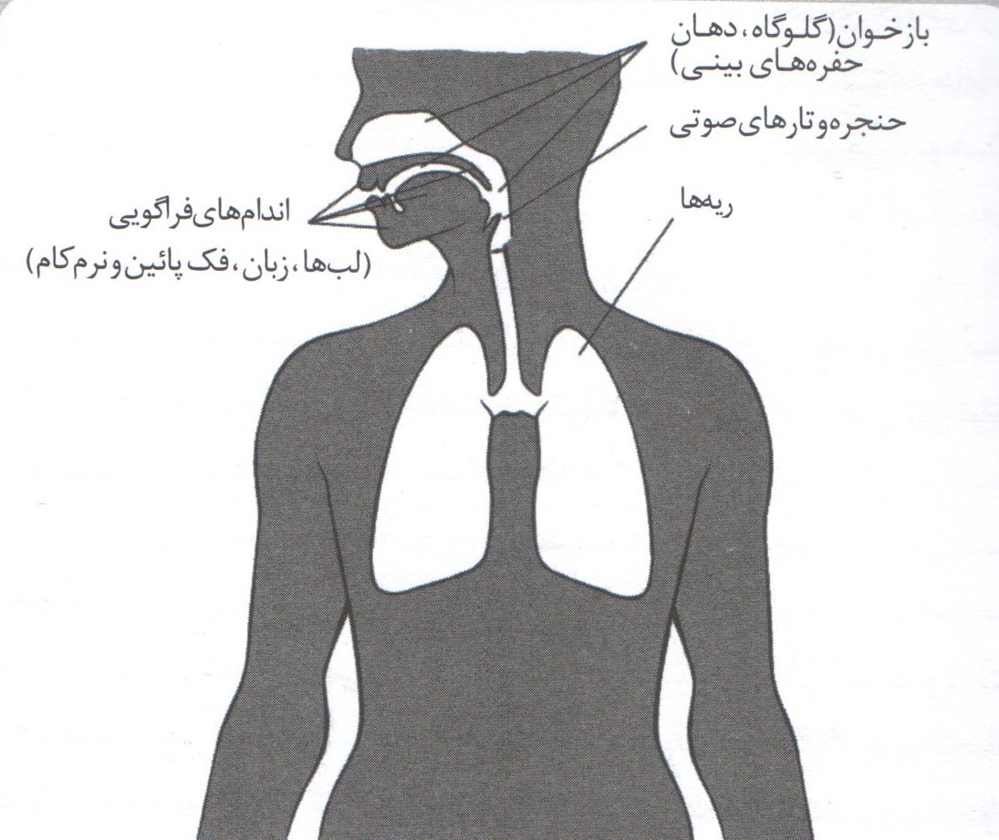 دانش صداسازی