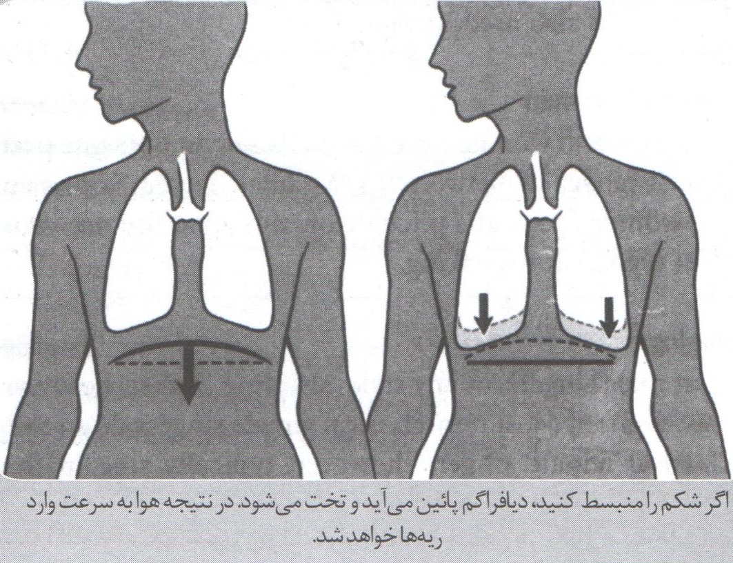دانش صداسازی