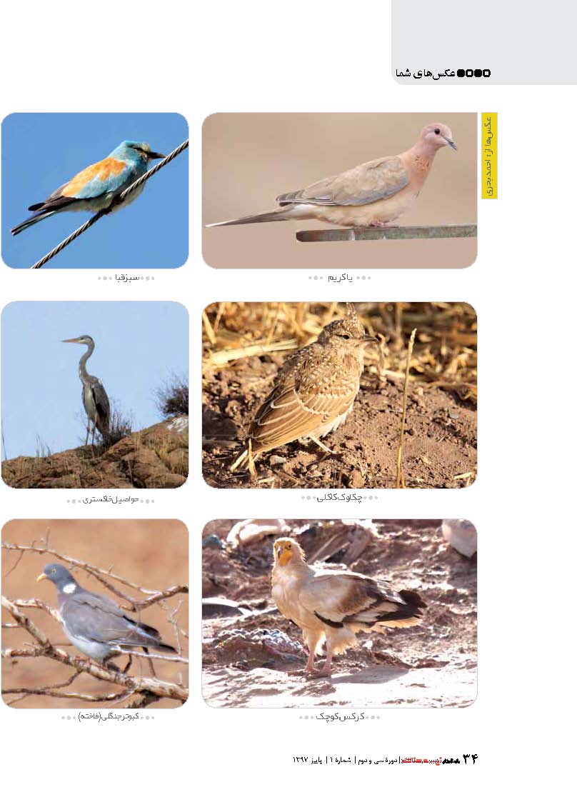 عکس های شما