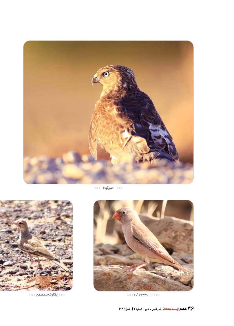 عکس های شما