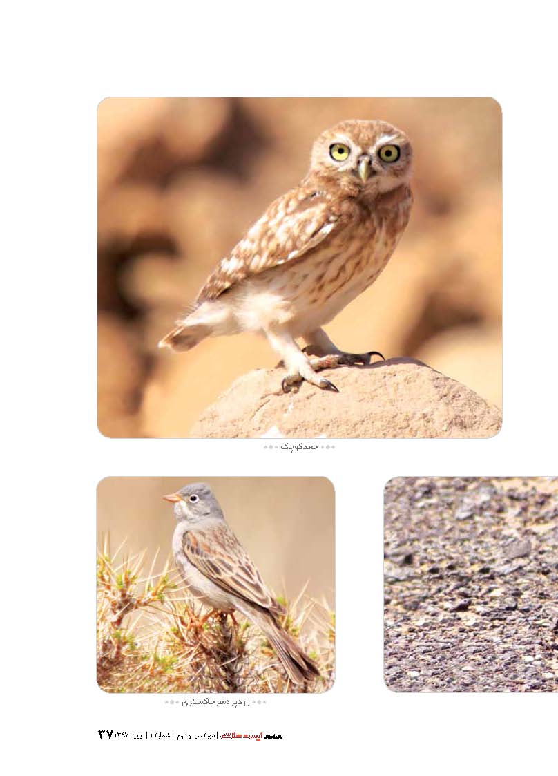 عکس های شما