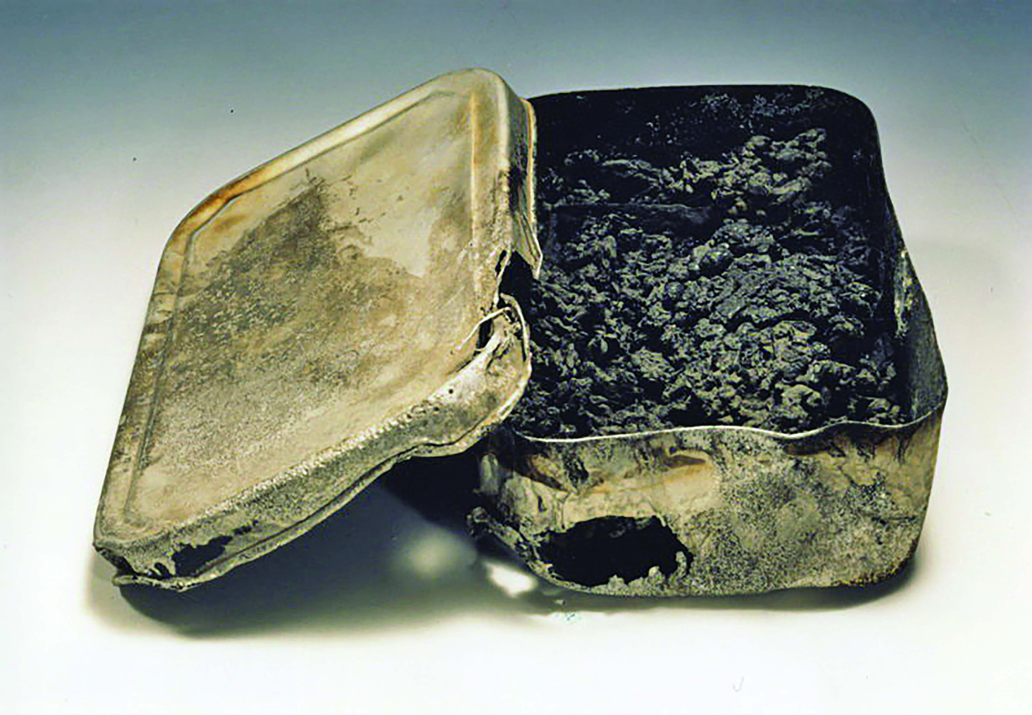 ساداکو و هزار دُرنای کاغذی اش