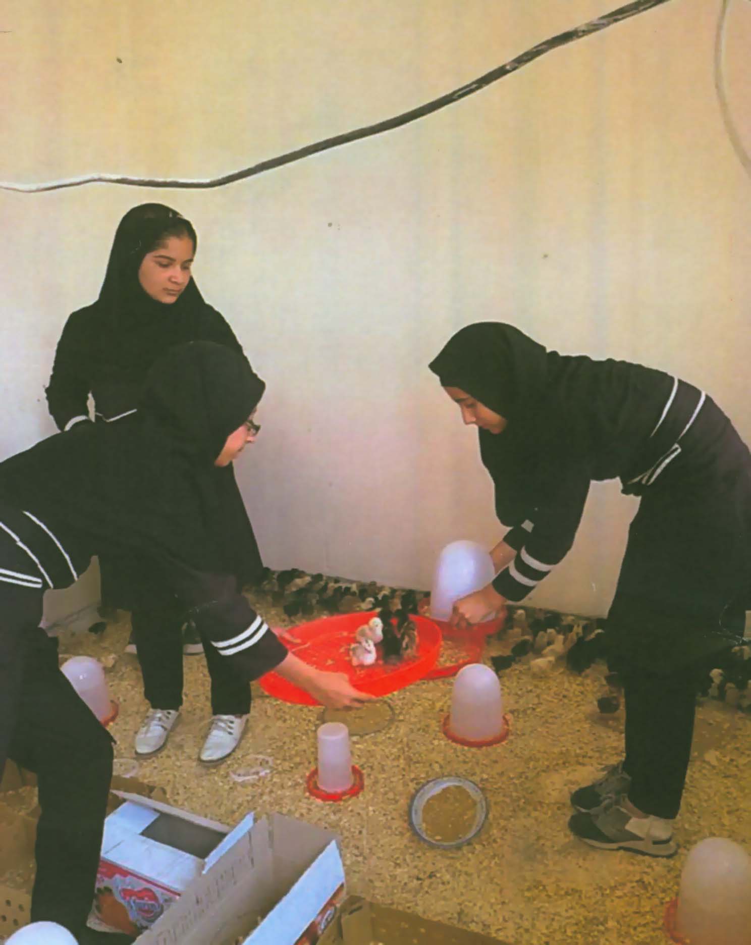 طرح خود اتکایی در دبیرستان شبانه روزی فاطمة الزهرا