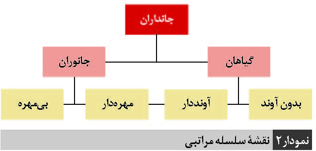 نقشه های مفهومی در درس علوم تجربی