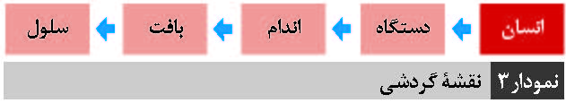 نقشه های مفهومی در درس علوم تجربی
