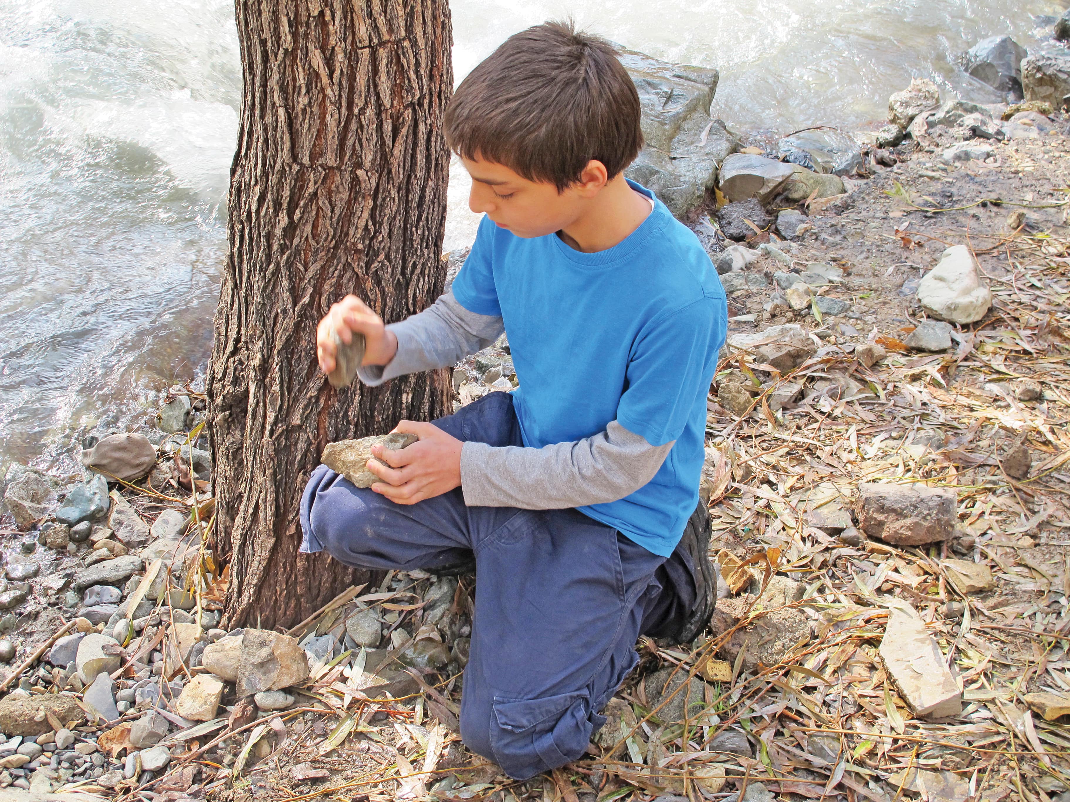 ما تاریخ را خوردیم: یک طرح درس نمونه مبتنی بر اردو