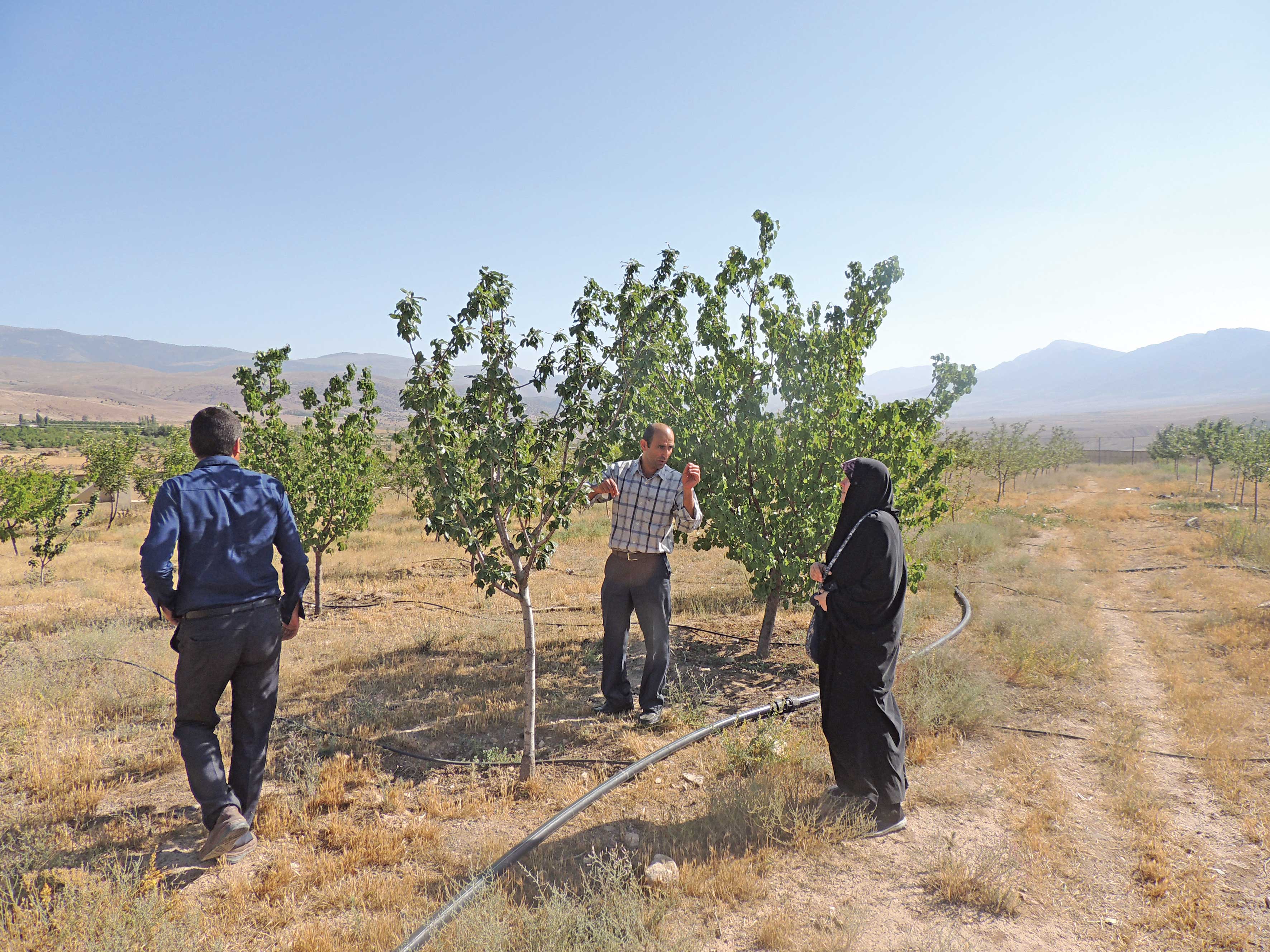 جلوتر از بخشنامه‌ ها