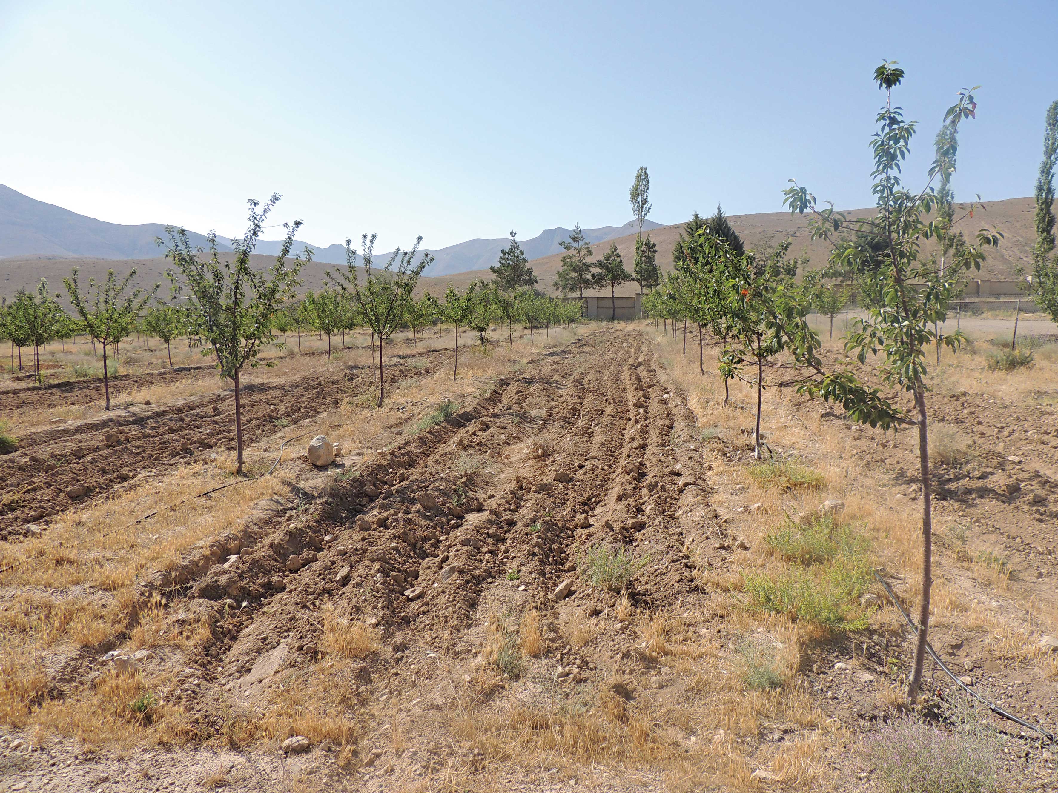 جلوتر از بخشنامه‌ ها