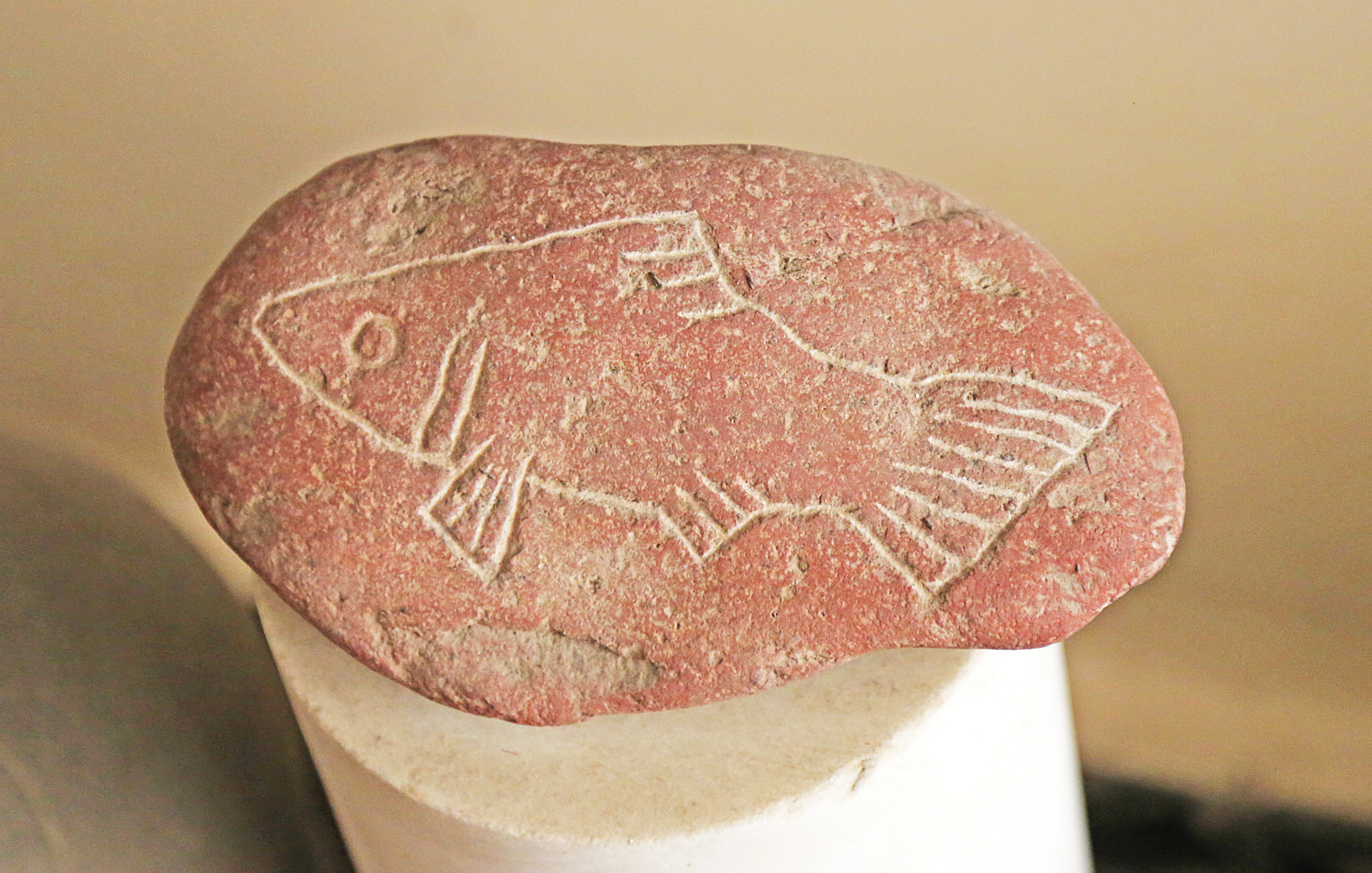 رودخانه ها هنوز ماهی دارند