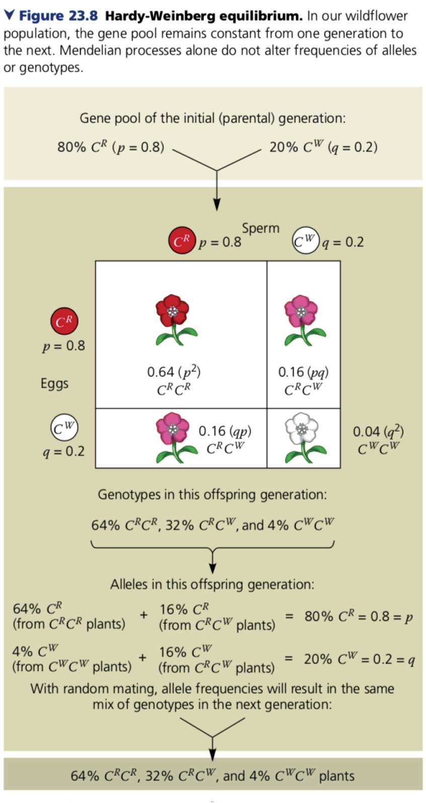 تکامل در کتاب دوازدهم