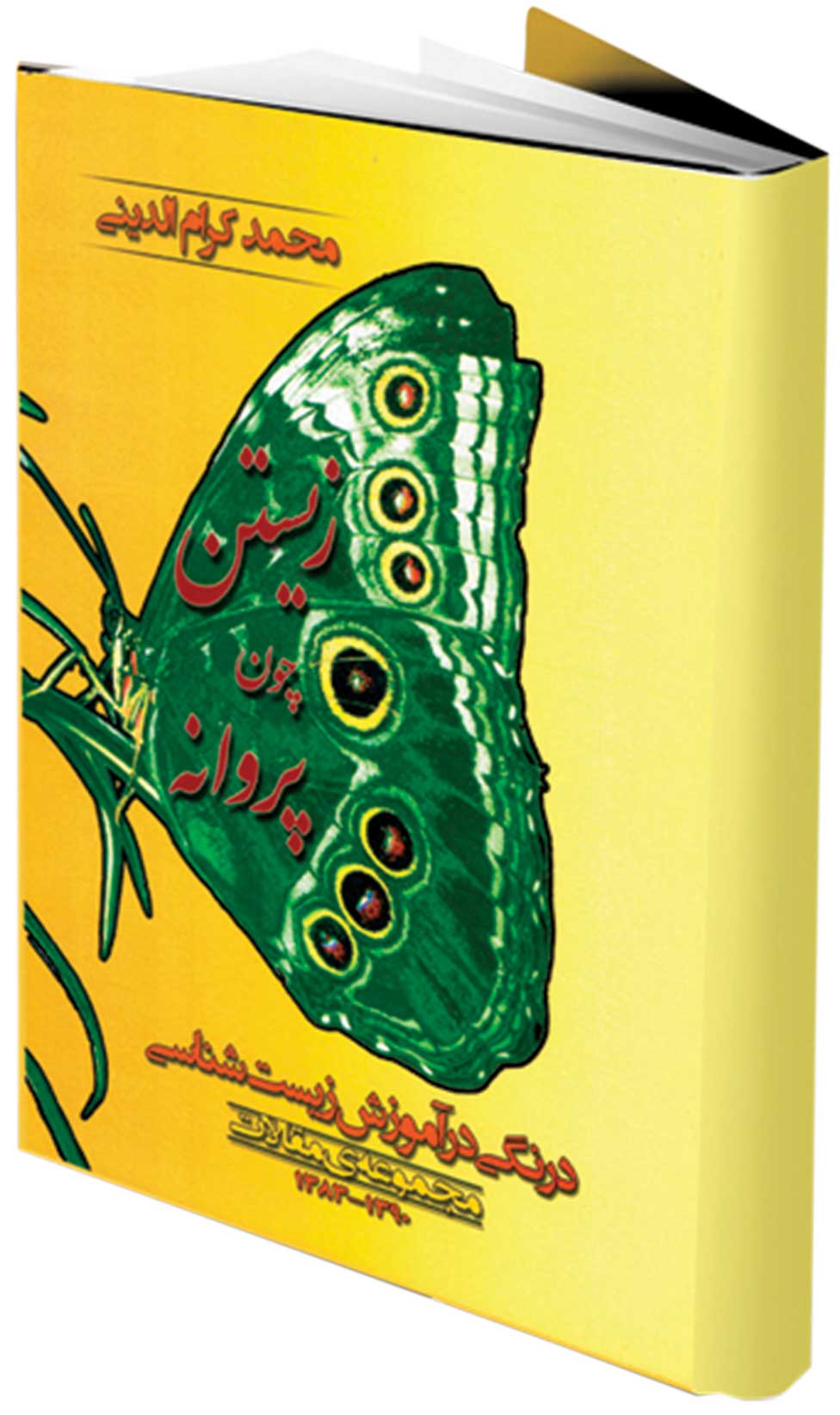 زیستن چون پروانه