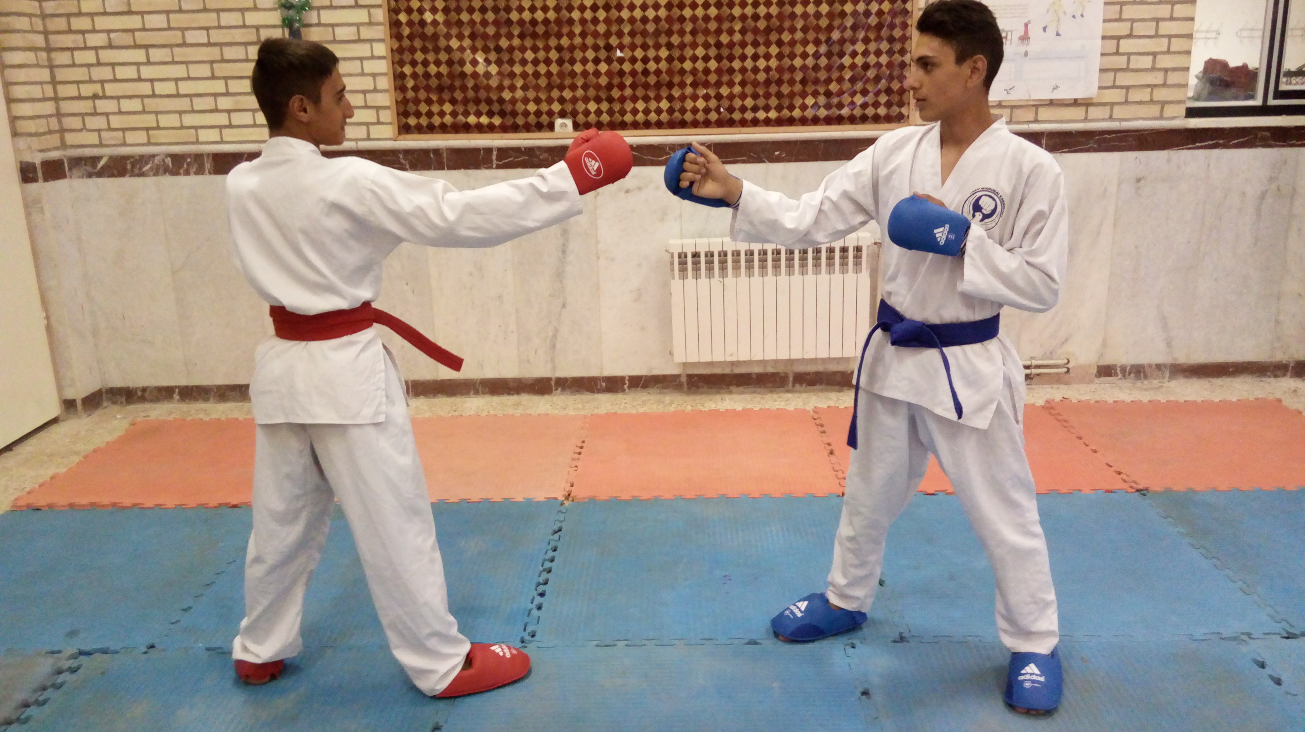 فلسفه هنر رزمی کاراته