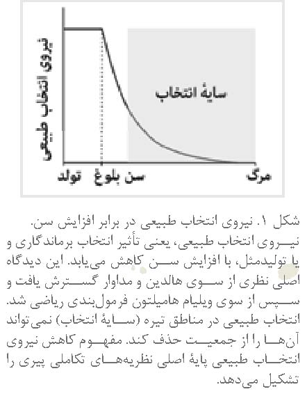 آیا پیر شدن مخالف جهت تکامل است