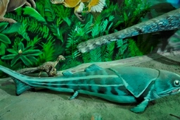 موزه علوم ‌زمین اداره کل زمین‌ شناسی و اکتشافات معدنی منطقه شمال شرق کشور