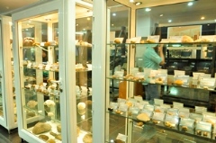 موزه علوم ‌زمین اداره کل زمین‌ شناسی و اکتشافات معدنی منطقه شمال شرق کشور