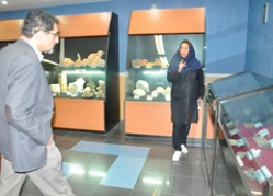 موزه علوم ‌زمین اداره کل زمین‌ شناسی و اکتشافات معدنی منطقه شمال شرق کشور