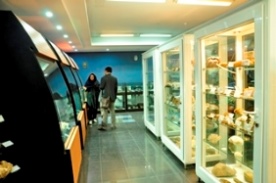 موزه علوم ‌زمین اداره کل زمین‌ شناسی و اکتشافات معدنی منطقه شمال شرق کشور.