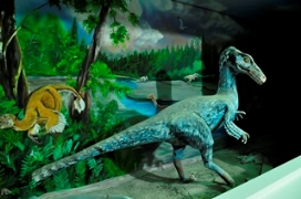 موزه علوم ‌زمین اداره کل زمین‌ شناسی و اکتشافات معدنی منطقه شمال شرق کشور.