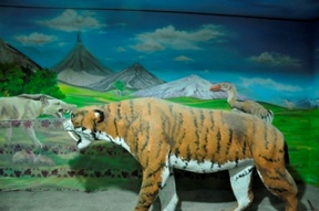 موزه علوم ‌زمین اداره کل زمین‌ شناسی و اکتشافات معدنی منطقه شمال شرق کشور.