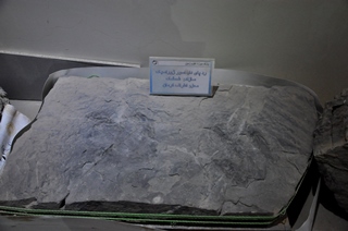 موزه علوم ‌زمین اداره کل زمین‌ شناسی و اکتشافات معدنی منطقه شمال شرق کشور.