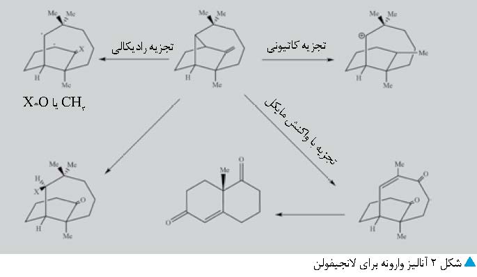 آنالیز وارونه