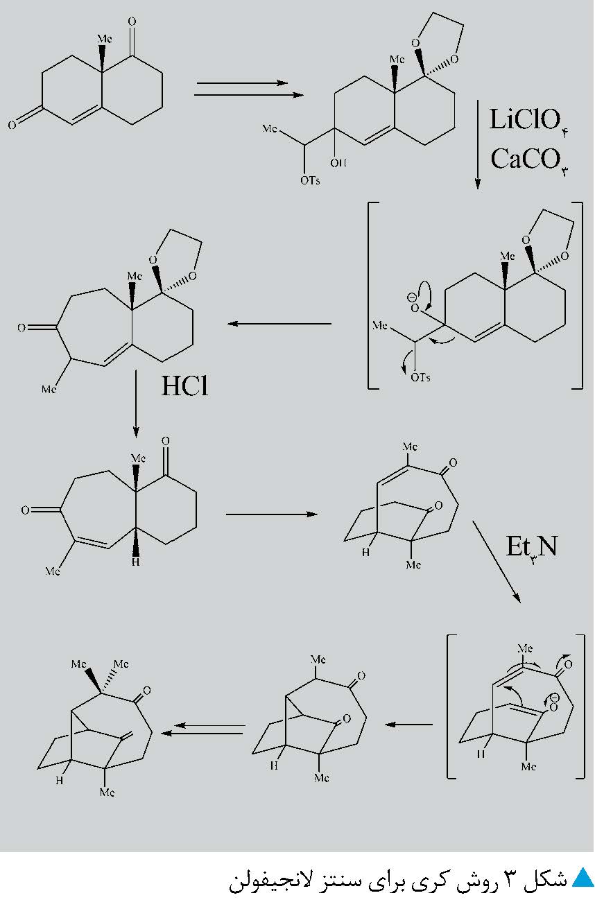 سنتز لانجیفولن