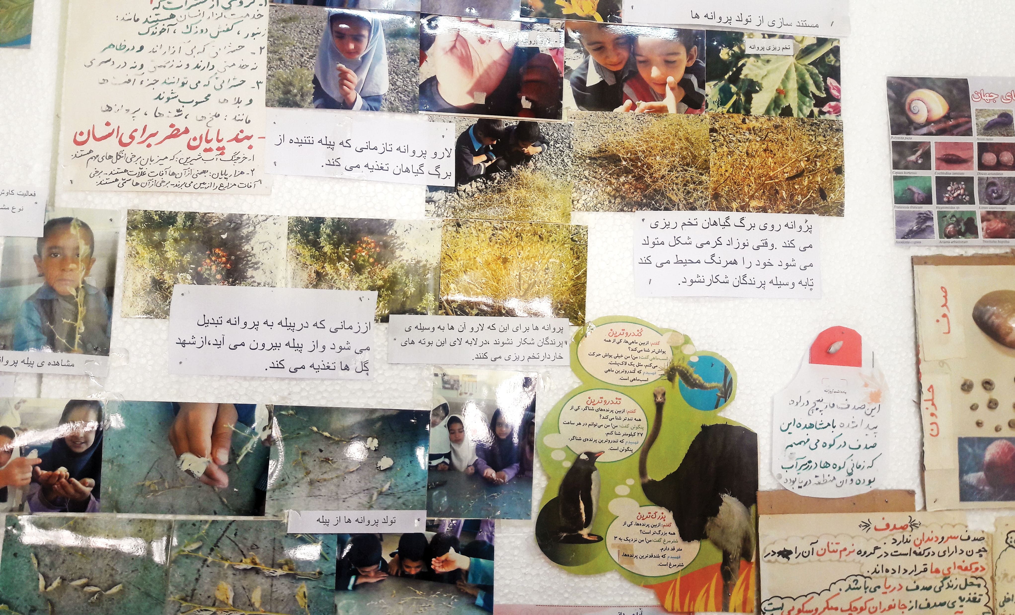 مدرسه چندپایه خلیل آباد