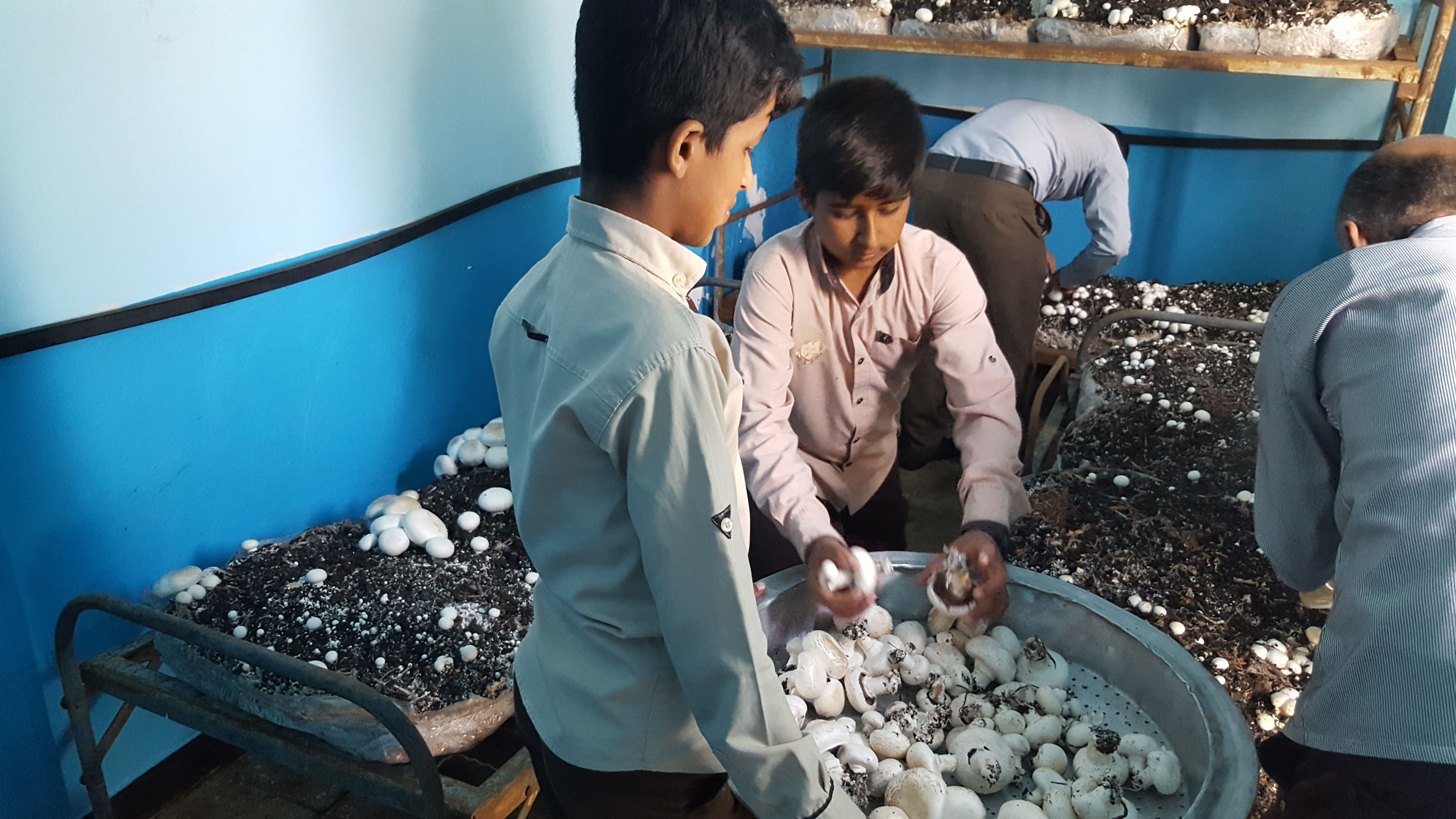 مدرسه شبانه‌ روزی شهید رجایی