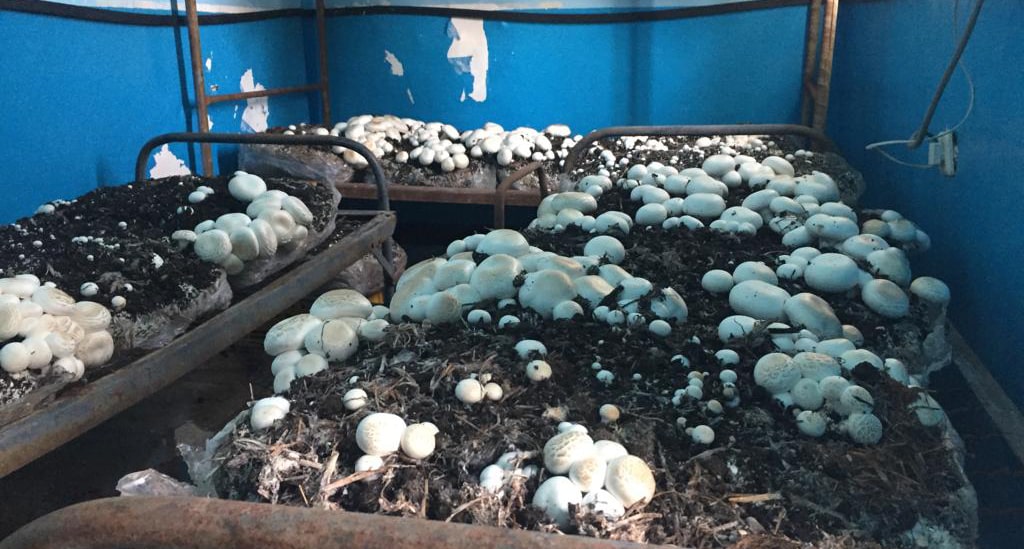 مدرسه شبانه‌ روزی شهید رجایی