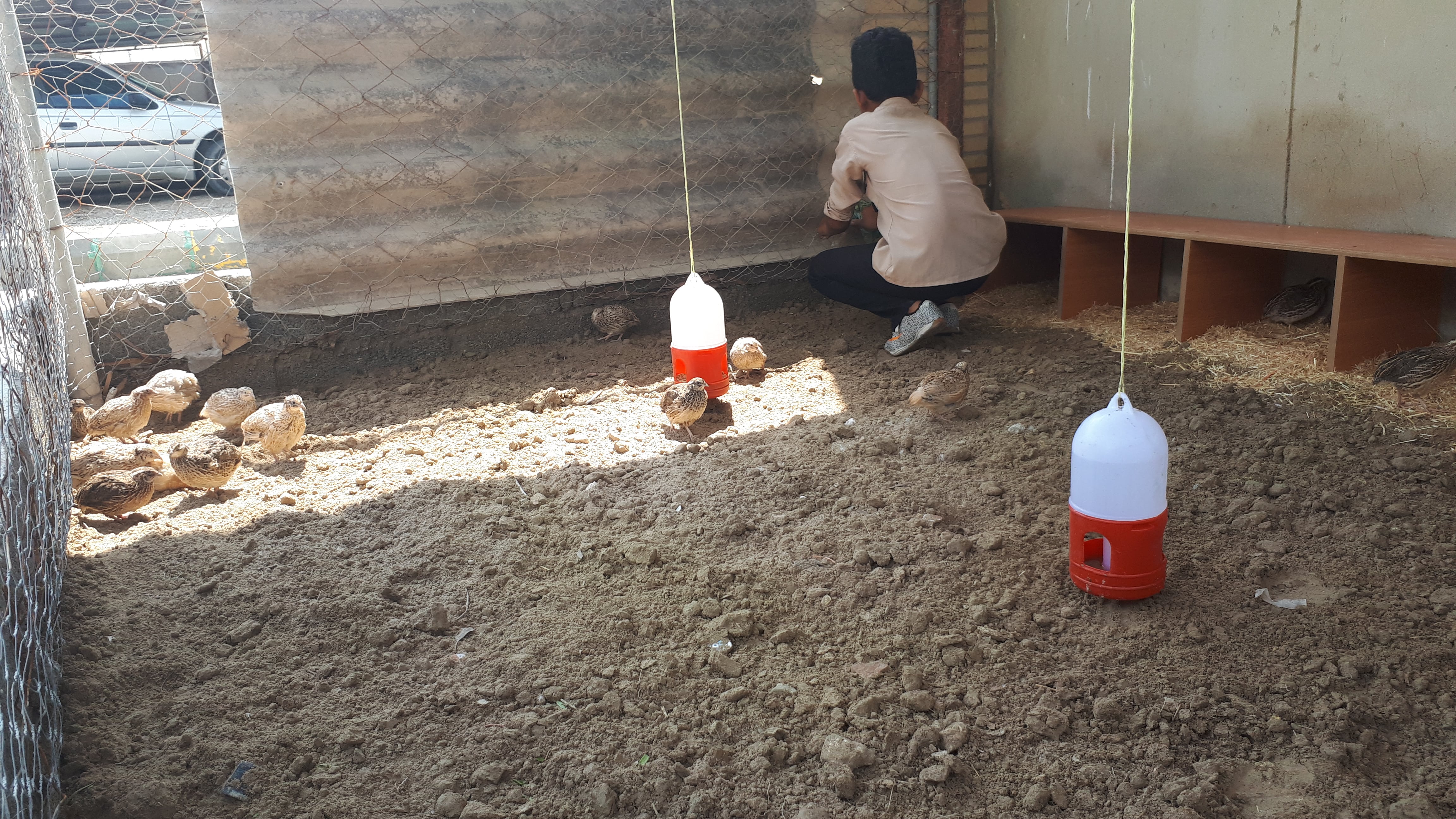 مدرسه شبانه‌ روزی شهید رجایی