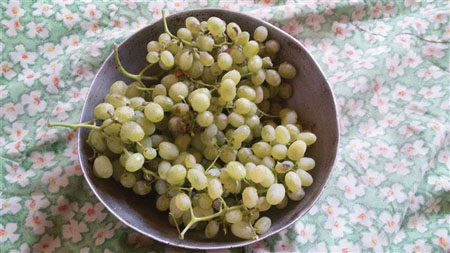 تولید شیره انگور در روستا