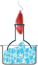 آموزش با حداقل‌ها