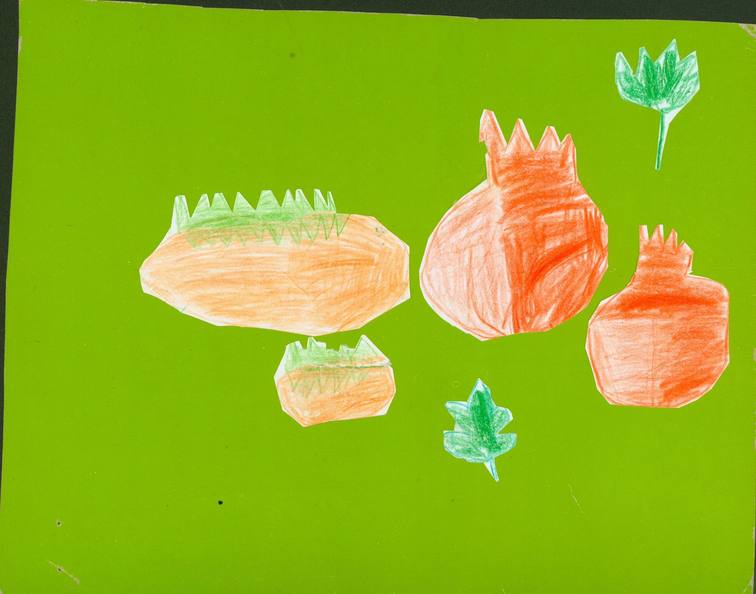 آرمین جلیلی‌وند، ۷ساله از مینودشت