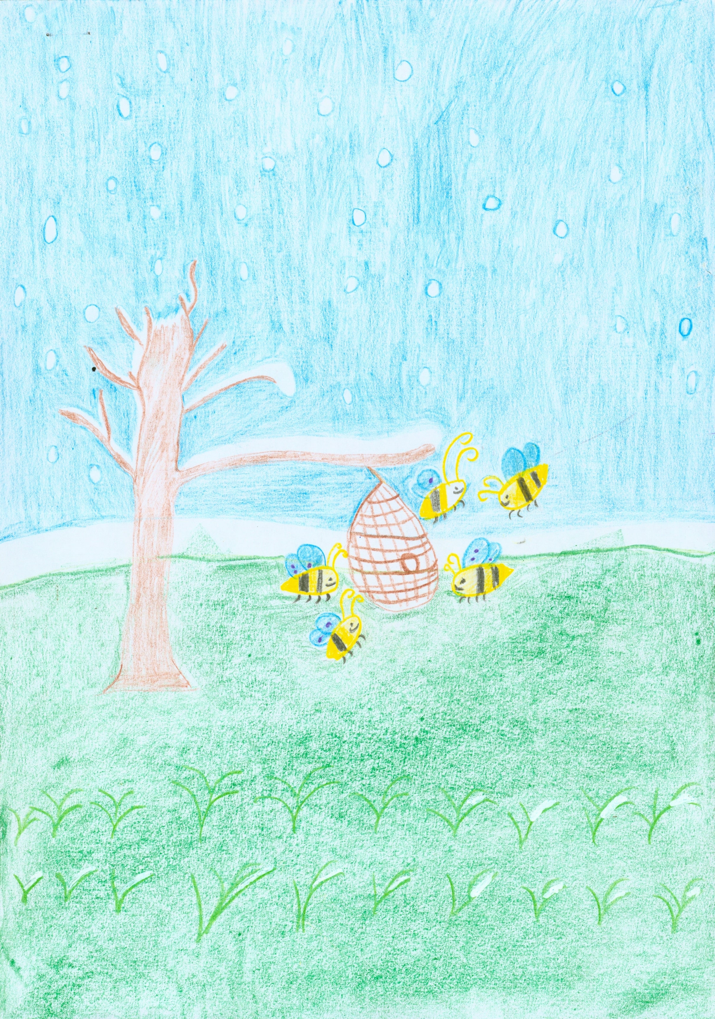 سجاد اسلامی، کلاس دوم از میبد